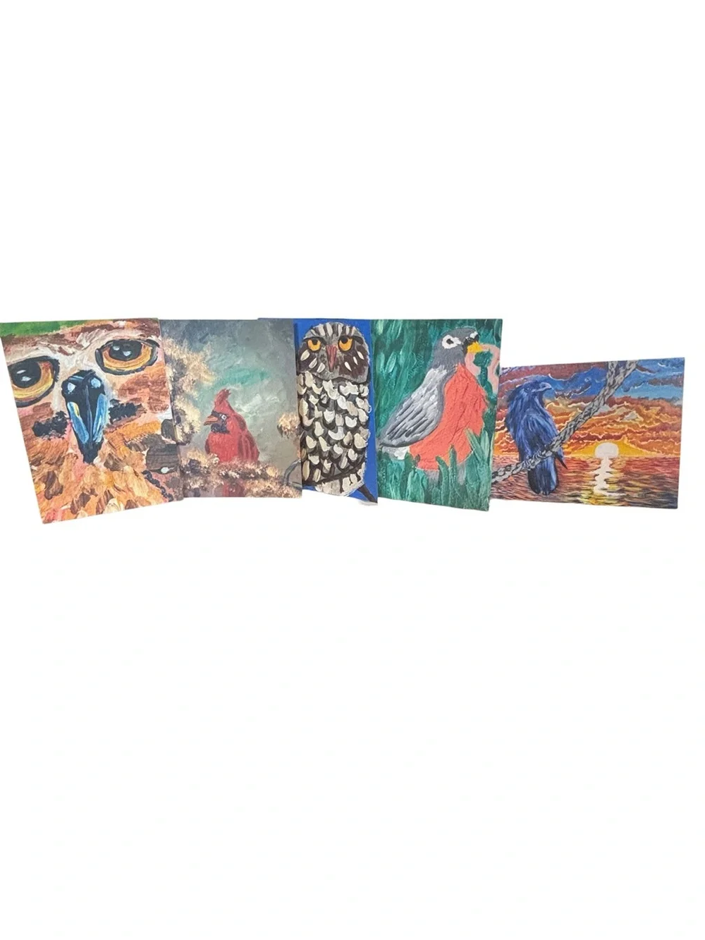 Birds of Wonder Greeting Card Set of 5 by Briefcase Artist